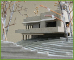 orcas model