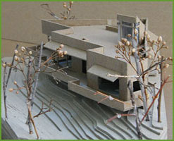 orcas model