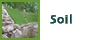 soil